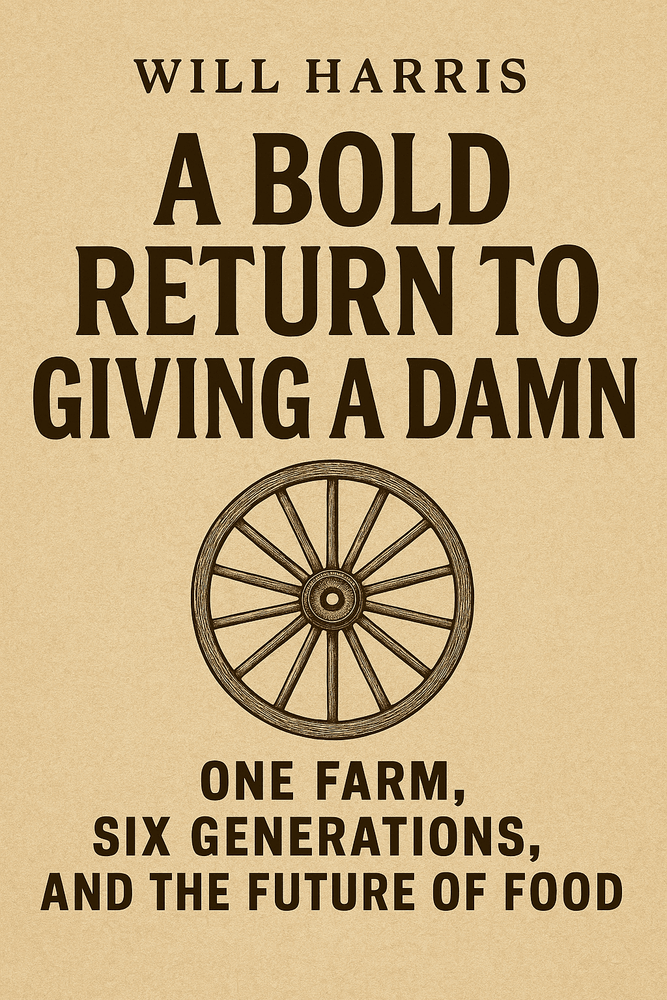 Cover of 'A bold return to giving a damn'
