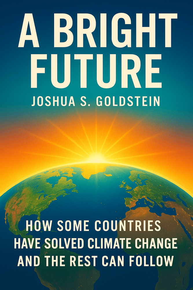 Cover of 'A bright future'