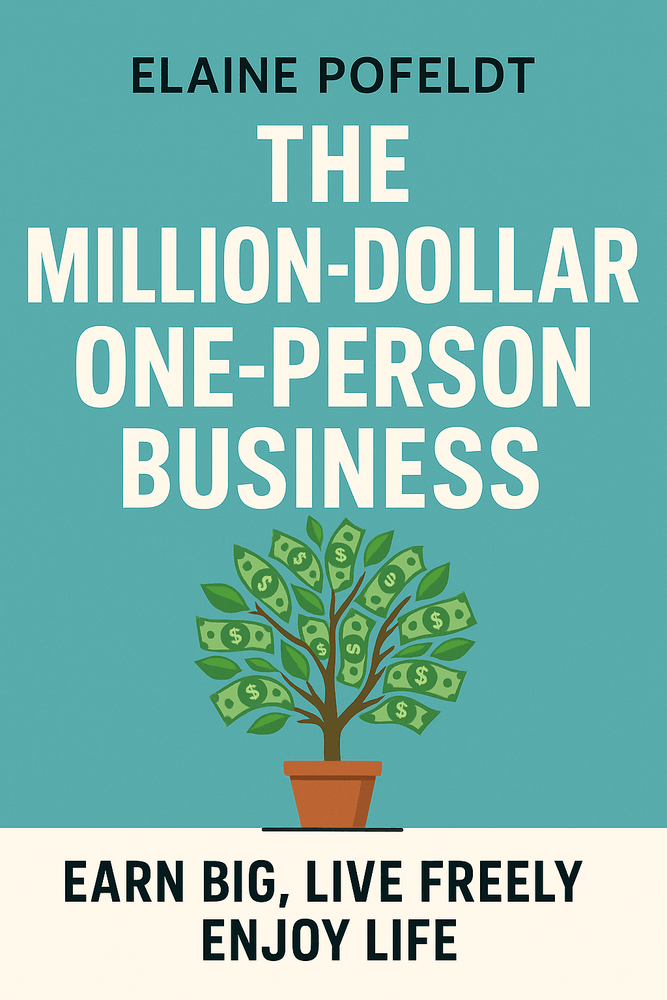 Cover of 'The million dollar one person business'