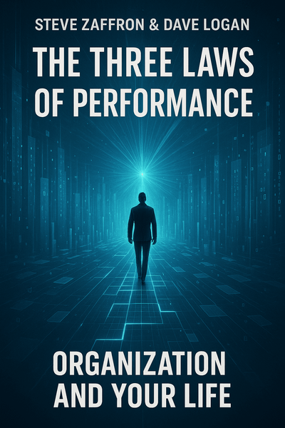 Cover of 'The three laws of performance'