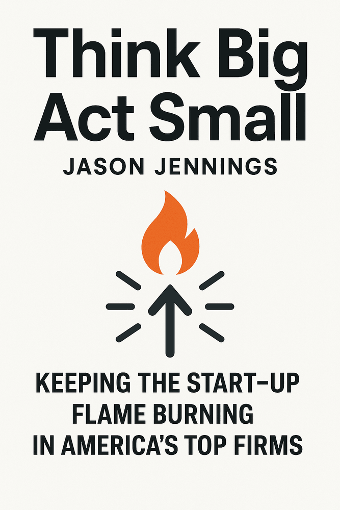 Cover of 'Think big act small'