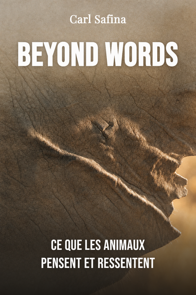 Beyond Words