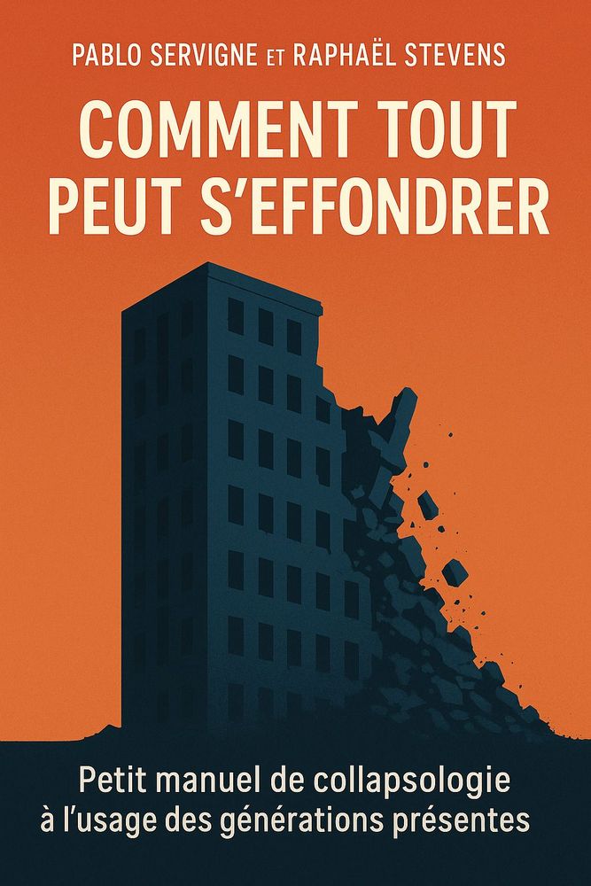 Couverture de 'Comment tout peut seffondrer'