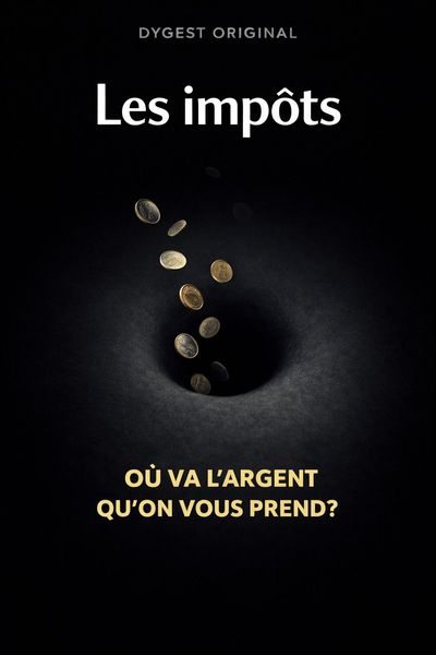 Couverture de 'Les impots'